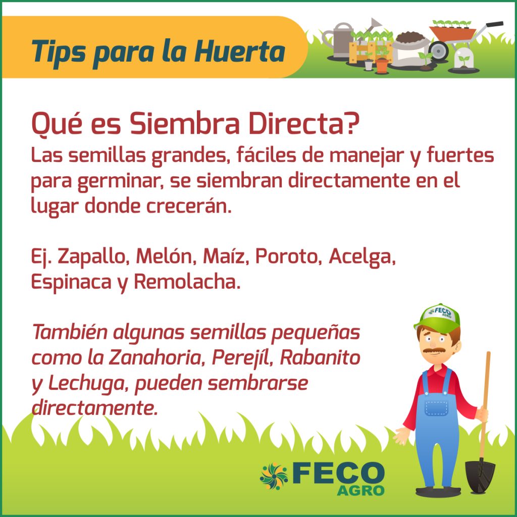 ¿Sabes Que Es La Siembra Directa? Hoy Te Contamos Todo! - Fecoagro