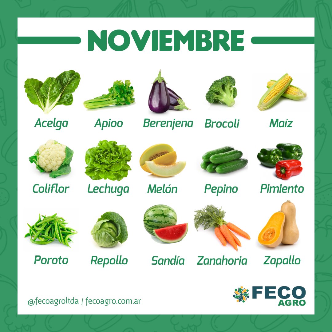 Que Cultivar En La Huerta En El Mes De Noviembre Fecoagro