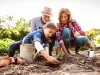 kit de semillas hortícolas de primavera verano empieza tu huerta en casa