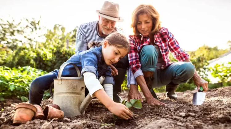 kit de semillas hortícolas de primavera verano empieza tu huerta en casa