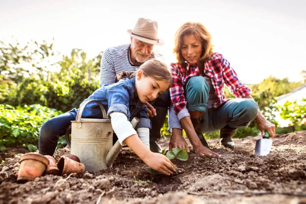 kit de semillas hortícolas de primavera verano empieza tu huerta en casa