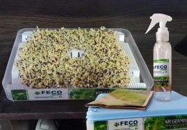 kit germinador de semillas en fecoagro san juan