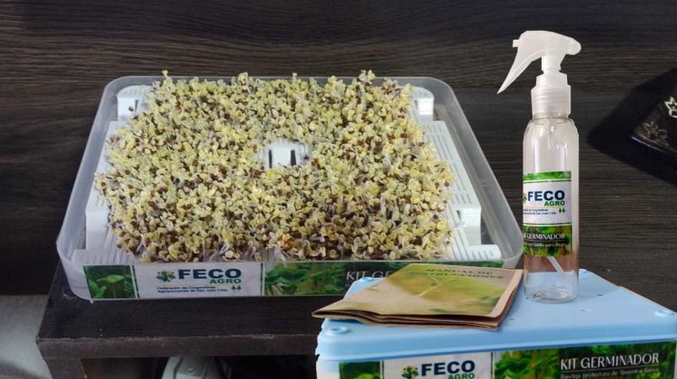 kit germinador de semillas en fecoagro san juan