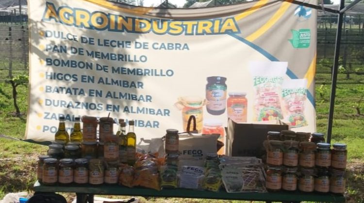 fecoagro san juan productos inta expone rama caida mendoza (9)1