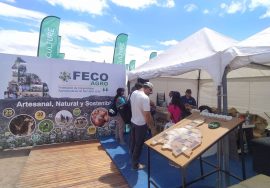 fecoagro san juan líder nacional en provisión de semillas para huertas