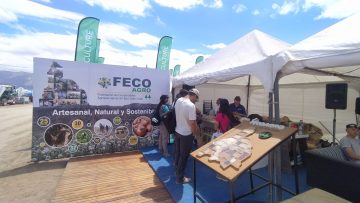 fecoagro san juan líder nacional en provisión de semillas para huertas