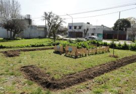 la huerta agroecológica del hospital san juan de dios de la plata un espacio de salud, educación y soberanía alimentaria