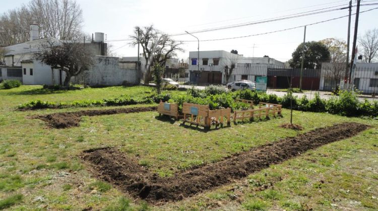 la huerta agroecológica del hospital san juan de dios de la plata un espacio de salud, educación y soberanía alimentaria