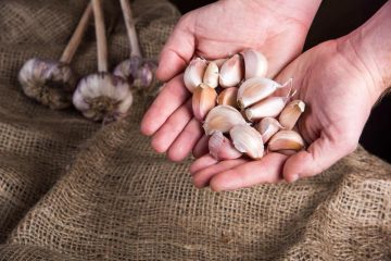 tintura de ajo protección natural para tus cultivos